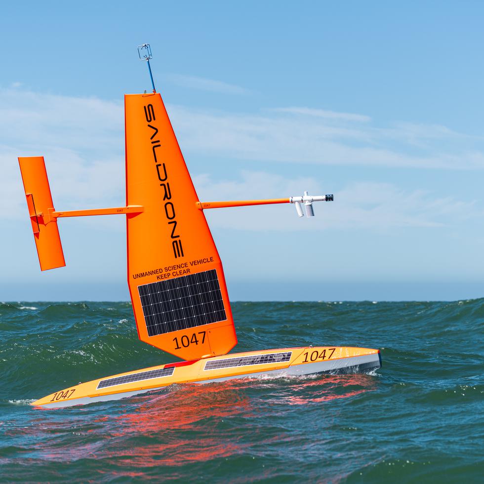 Estos drones acuáticos pertenecen a la compañía Saildrone, con base en California.