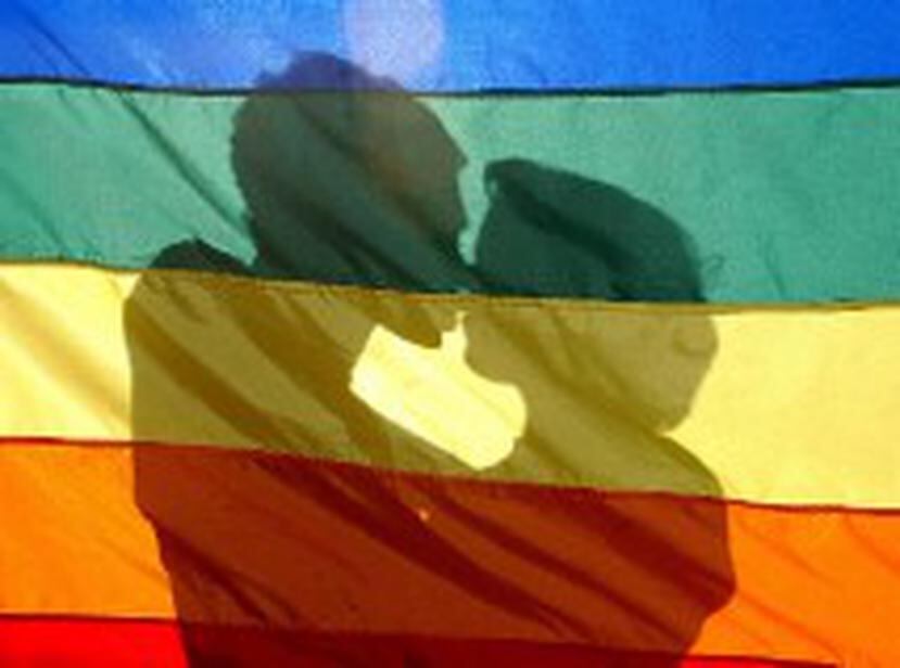 La comunidad homosexual en Holanda ha mostrado reacciones "divididas" ante la creación de este "poblado gay", explica el diario, que apunta que cientos de personas han dado sus opiniones en las redes sociales sobre el proyecto, mayoritariamente negativas. (Archivo)