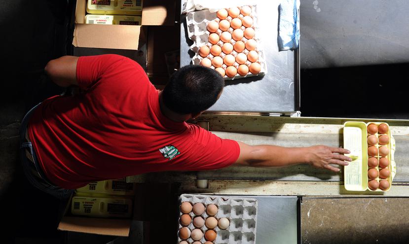 Decenas de supermercados e importadores de huevo fueron multados por el Departamento de Agricultura por no esperar a la inspección de un oficial de la agencia antes de descargar el producto en su centro de distribución.