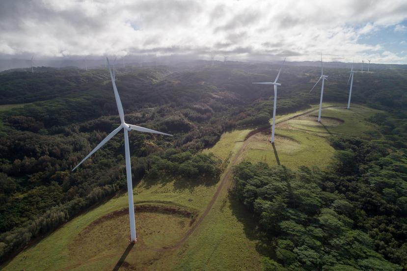 En la foto, turbinas de viento en la isla de Oahu, en Hawái. El estado actualmente deriva el 30% de fuentes renovables para su consumo de energía. (Shutterstock)