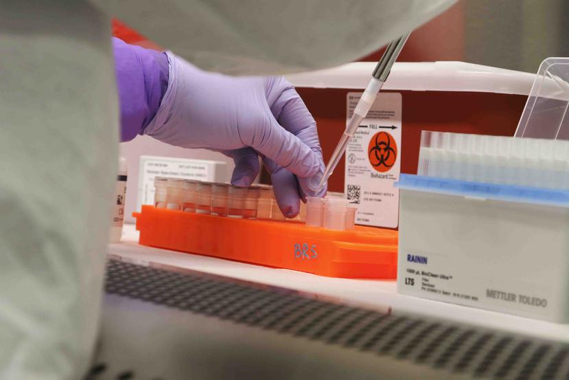 El microbiólogo del Departamento de Salud del estado de Hawaii, Mark Nagata, demuestra el proceso para analizar una muestra de coronavirus en el laboratorio del departamento en Pearl City, Hawaii. (AP)