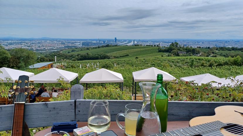 Con 700 hectáreas, Viena es la única capital de Europa que produce vino.