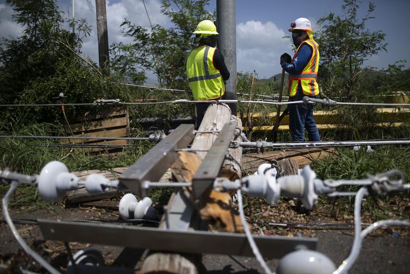 Hoy, LUMA desplegó más de 700 recursos en las regiones de Ponce y Mayagüez.