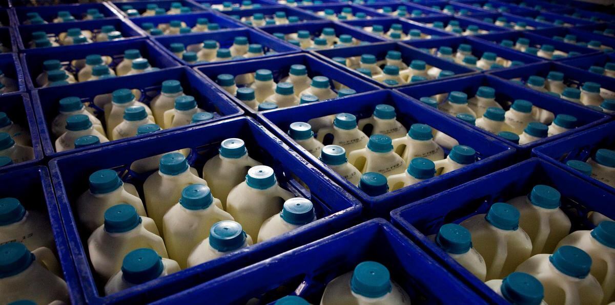 Las plantas elaboradoras, en particular Suiza Dairy, han reclamado que necesitan recibir una compensación mayor por la elaboración de la leche fresca, debido a que los costos de adquisición de combustible, de electricidad y de mano de obra están mucho más altos que antes.