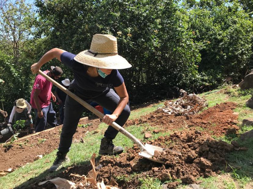 Culebra aspira a convertirse en el primer municipio que da seguridad alimentaria a sus habitantes.