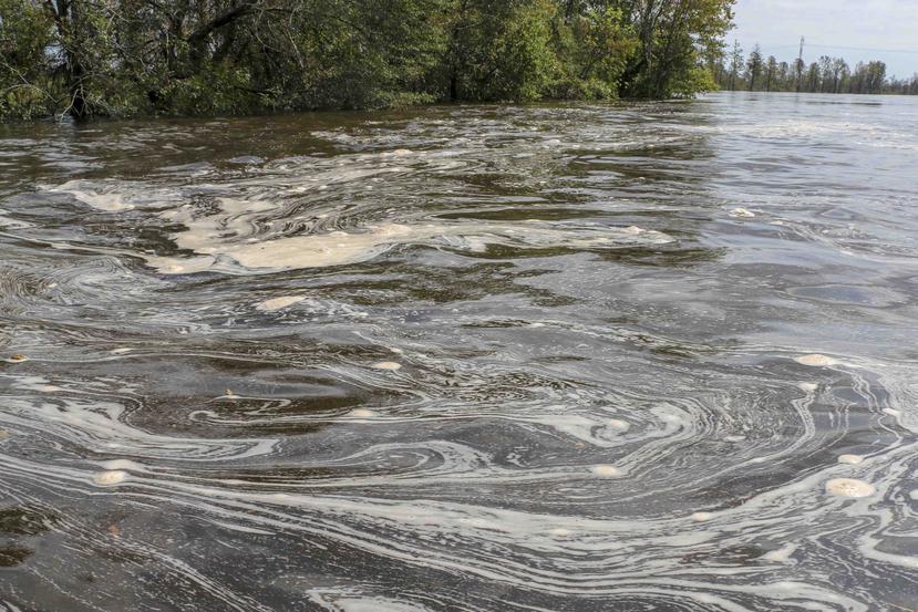 En esta imagen del viernes, 21 de septiembre del 2018, proveída por el grupo ambientalista Earthjustice, se ve un lodo gris flotando en el río Cape Fear, cerca de la planta generadora L.V. Sutton Plant en Wilmington, Carolina del Norte. (AP)