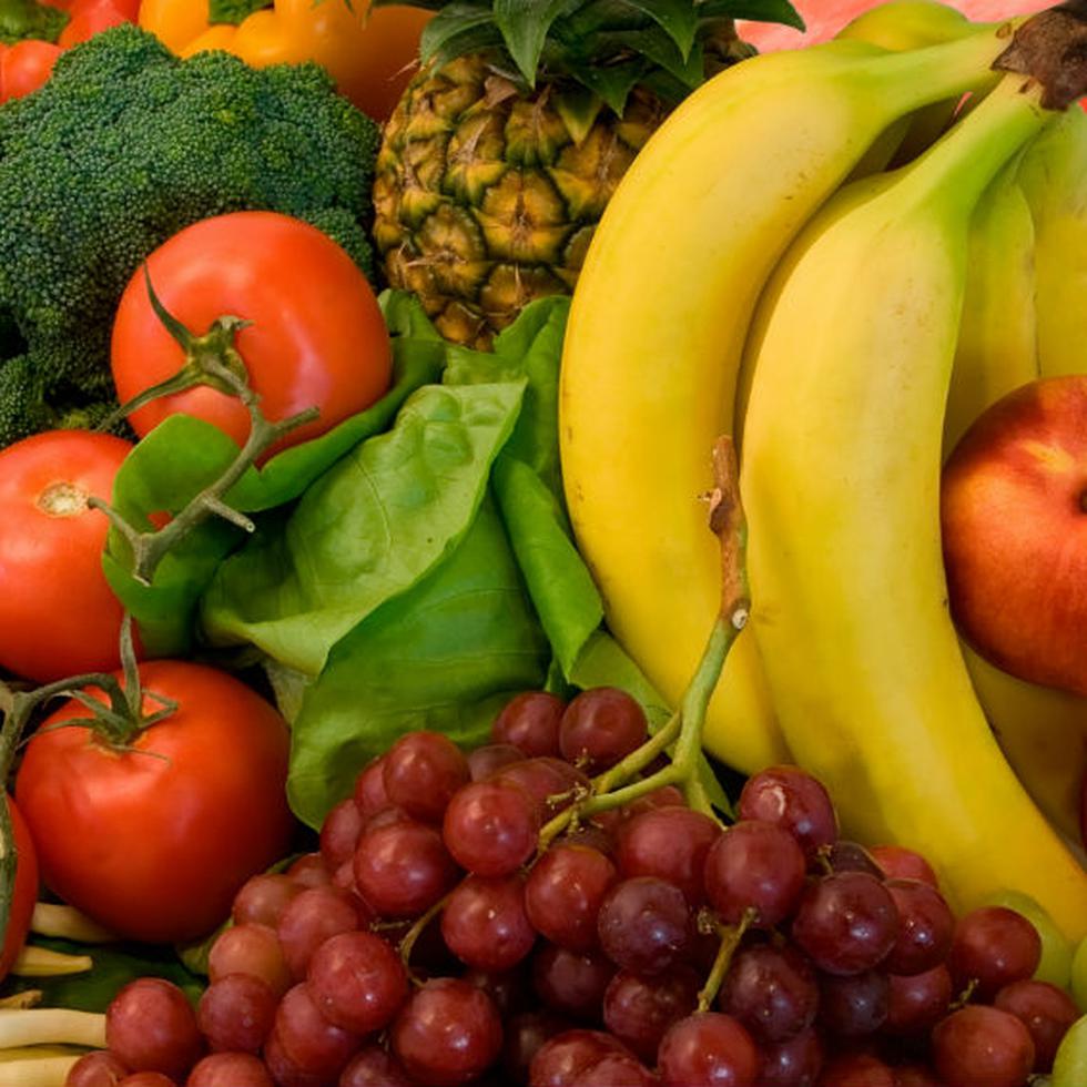 Bajo cultivos especiales, el gobierno federal incluye frutas, verduras, nueces y siembras de vivero.