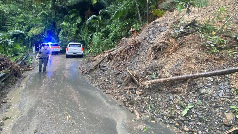 La evaluación de daños en la parte sur de El Yunque continúa.