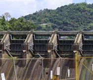 El embalse Carraízo es la única represa que, actualmente, cuenta con un dragado programado, indicó la presidenta ejecutiva de la AAA, Doriel Pagán.