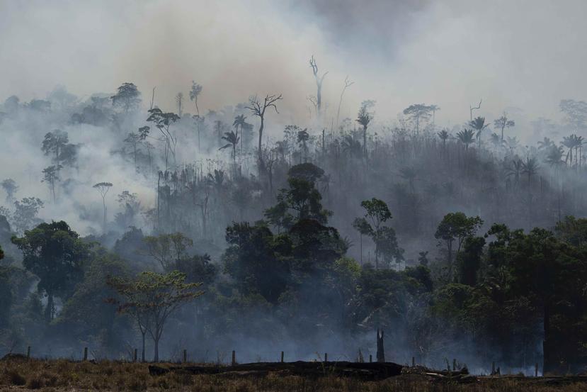 Un incendio consume un bosque amazónico en Altamira, Brasil. (AP/Leo Correa)