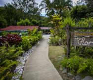 Hacienda Villa Flor, en Peñuelas, cuenta con tres espacios para actividades, así como piscina y habitaciones privadas que se rentan a través de Airbnb.