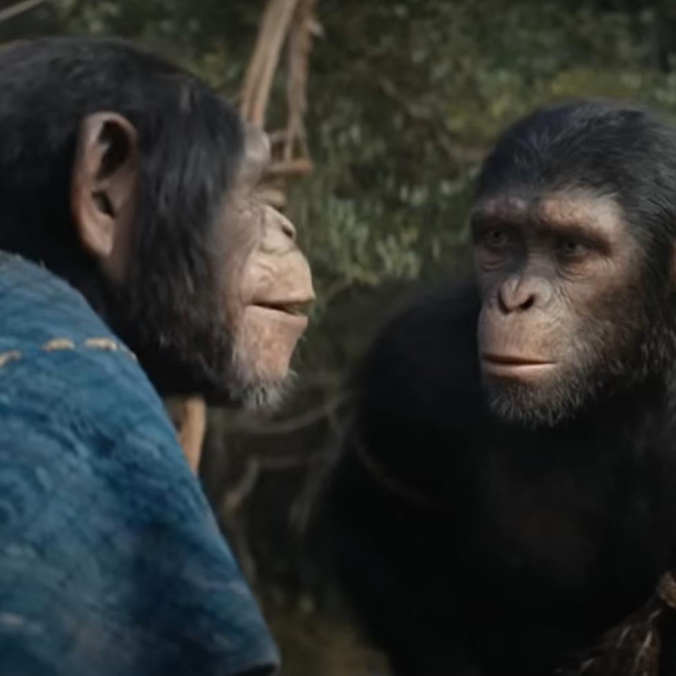 "Kingdom of the Planet of the Apes" reina en la taquilla en su primer fin de semana