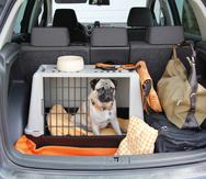 Antes de que llegue el huracán, practica el desalojo en el vehículo que utilizarás con todos los miembros de tu familia, incluyendo las mascotas.