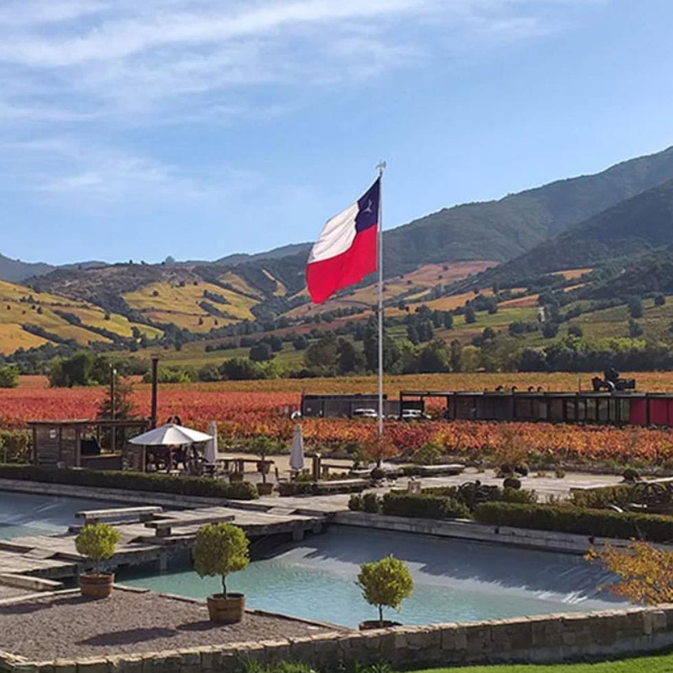 Viña MontesEn sus cuarteles en Apalta, en el valle de Colchagua, Viña Montes ofrece experiencias de enoturismo, en el corazón de la zona vinícola chilena.