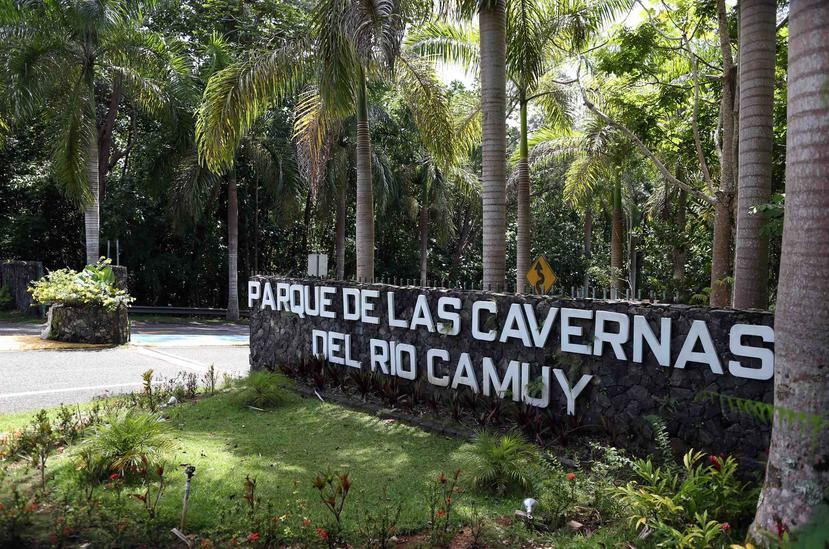 El Parque de las Cavernas del Río Camuy es una de las principales atracciones turísticas del país con casi 300 cuerdas de alto valor ecológico que incluyen los municipios de Camuy, Hatillo y Lares. (GFR Media)