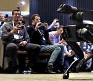 Un robot SpotMini de Boston Dynamics caminando en una sala de conferencias durante una cumbre de robótica en Boston. (AP/Charles Krupa)