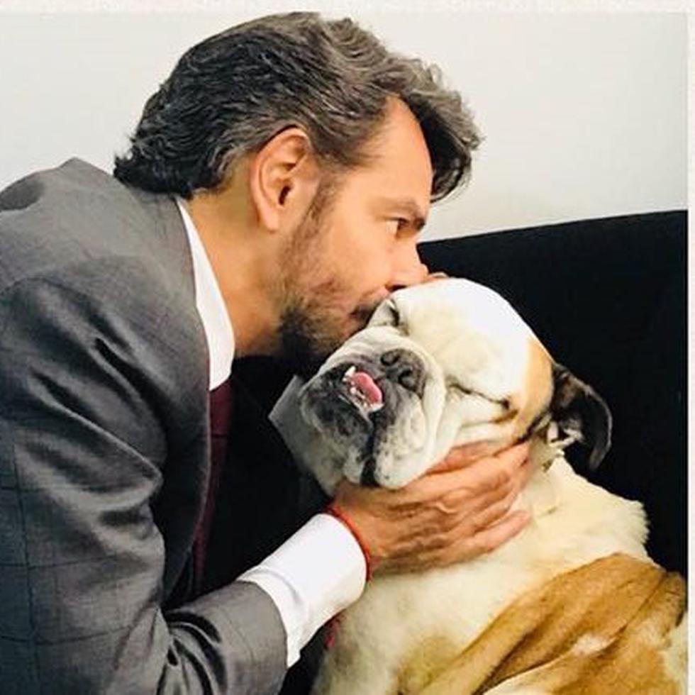 El actor mexicano Eugenio Derbez junto a a au perra Fiona.