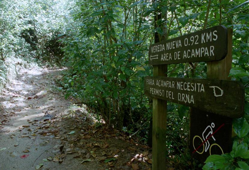 Veredas del Bosque Guajataca.