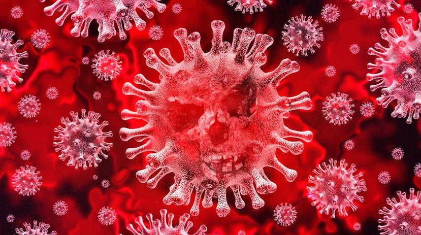 El peligro del coronavirus es su fácil contagio. (Shutterstock)