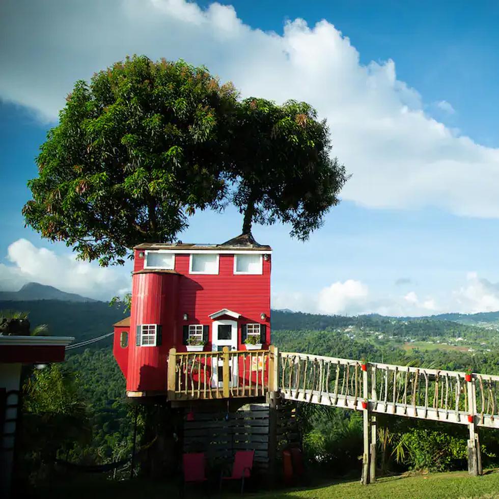 Una casa de árbol en El Yunque permite a los huéspedes desconectarse de la vida diaria y entrar en contacto con la naturaleza.