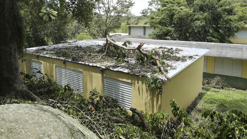 En la foto, la escuela Romero Muñiz, del barrio Collores, estuvo afectada por los efectos del ciclón.