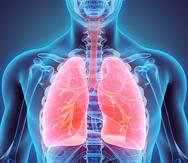 Existen dos tipos de cáncer de pulmón: de células pequeñas y de células no pequeñas.