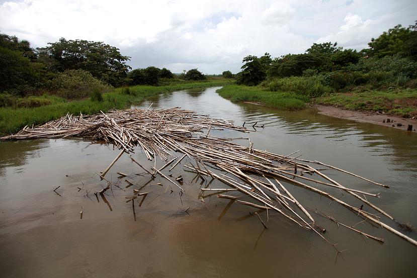 El río Guanajibo, en Mayagüez, es uno de los incluidos en la lista de proyectos de control de inundaciones, indicaron Ariel Lugo y Ruperto Chaparro.