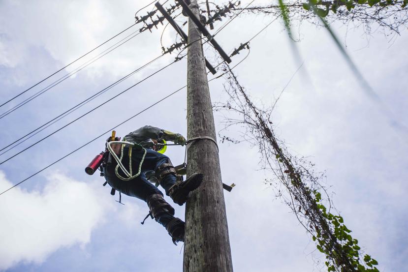 Los trabajos serán en las líneas de transmisión que le suplen el servicio eléctrico a las islas municipio. (Toñito Zayas / GFR Media)