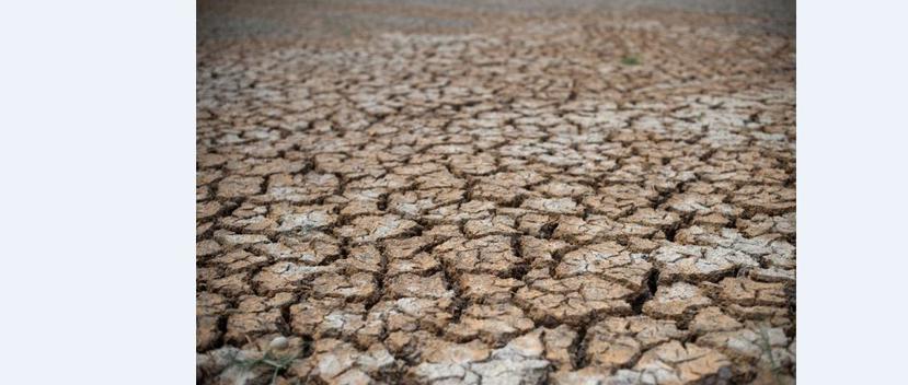 Los expertos alertan de que la sequía causada por El Niño en la primera de esas regiones durante la primera mitad del año pueda prolongarse varios meses más, con consecuencias desastrosas.(AFP)