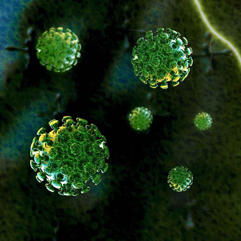 La alerta por el nuevo virus aumentó al conocerse un primer caso fuera de China.  (Shutterstock)