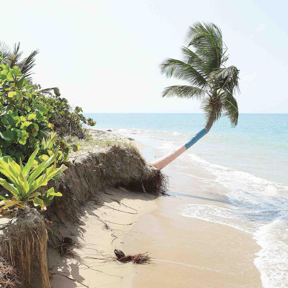 Las maltratadas playas de Puerto Rico
