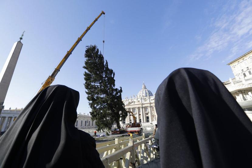 Dos monjas miran como una grúa levanta el árbol de Navidad en la Plaza de San Pedro, Vaticano (AP).