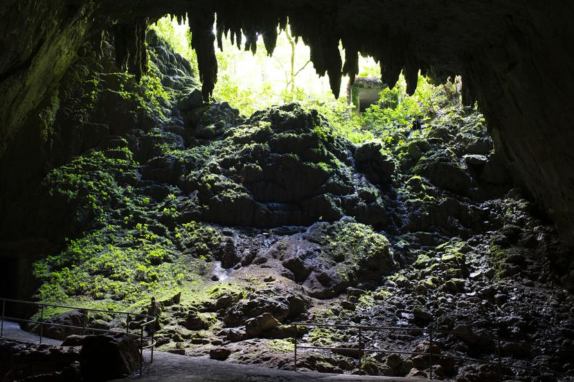Vista del interior de la Cueva Clara en el Parque de las Cavernas del Río Camuy.