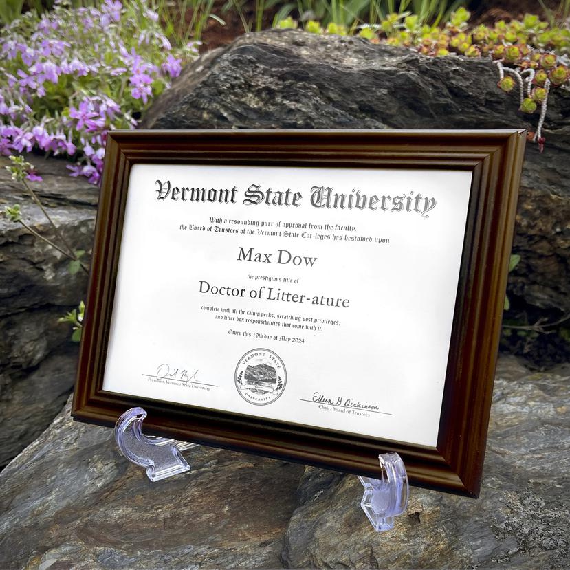 Esta foto proporcionada por la Universidad Estatal de Vermont muestra un diploma especial para Max el Gato en la Universidad Estatal de Vermont