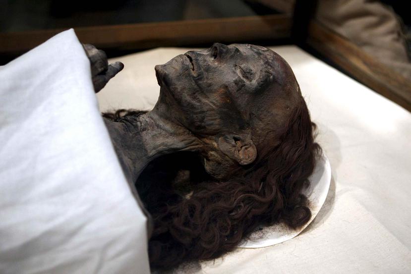 Momia de la Reina Tiye, madre del faraón Akenatón y abuela de Tutankamón, después de que fuera posible su identificación gracias a las pruebas de ADN realizadas por un equipo de arqueólogos en el Museo Egipcio en El Cairo. (Archivo/EFE)