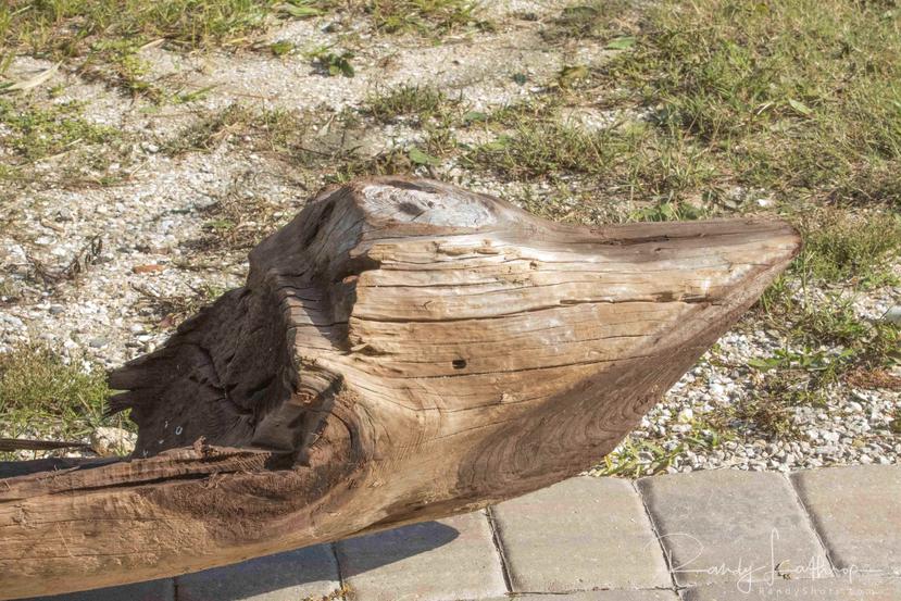 La canoa, de unos 15 pies de largo, está ahora en Tallahassee, la capital de Florida, bajo custodia oficial. (EFE)