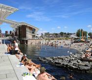 El “Tjuvholmen” es una instalación en Oslo, Noruega, de arrecifes artificiales con refugios para peces y mariscos. Funciona como una playa en la ciudad.
