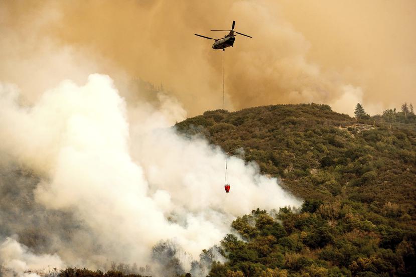 Un helicóptero combate el incendio del complejo KNP que arde a lo largo de la autopista Generals en el Parque Nacional Sequoia, California.