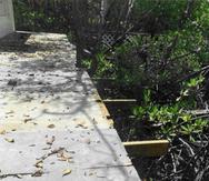 Captura de una de las imágenes incluidas en el informe de un biólogo de Recursos Naturales sobre presuntos daños ambientales en el mangle de La Parguera causados por la construcción de una terraza en la residencia de José Vargas Cortes, suegro de la comisionada residente Jenniffer González.