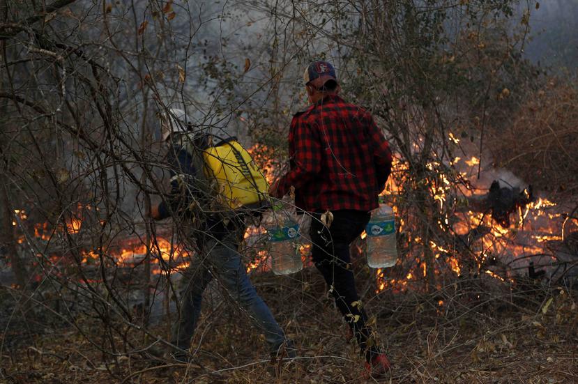 Los voluntarios trabajan para apagar un incendio forestal en Aguas Calientes, en las afueras de Robore, Bolivia, el sábado 24 de agosto de 2019. (AP / Juan Karita)