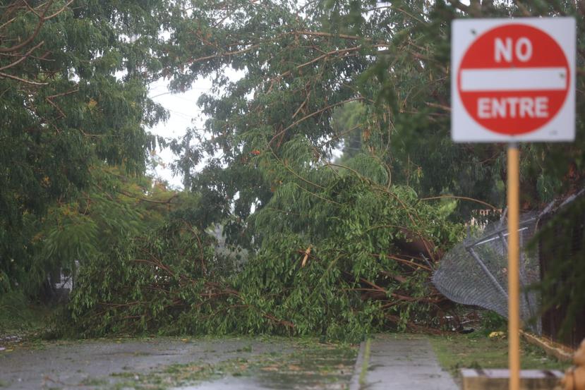 El paso en una de las calles de la playa de Ponce quedó cerrado debido a árboles caídos.