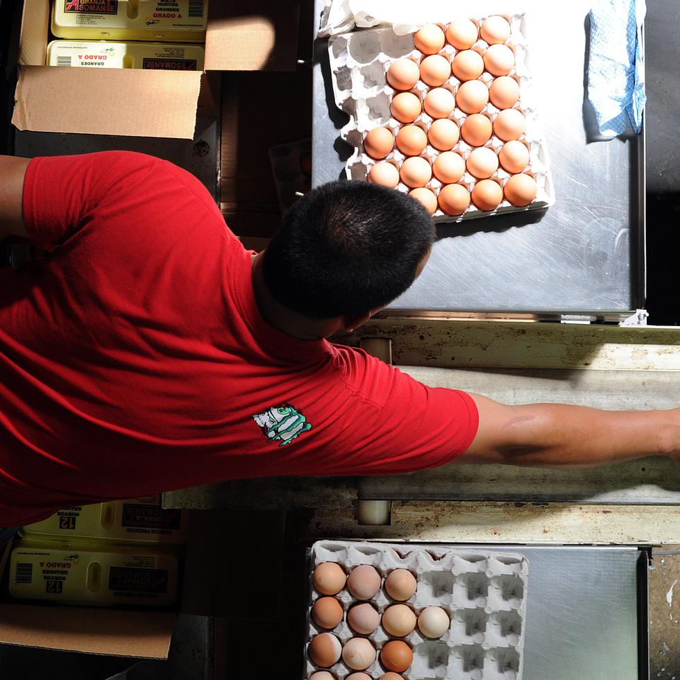 Decenas de supermercados e importadores de huevo fueron multados por el Departamento de Agricultura por no esperar a la inspección de un oficial de la agencia antes de descargar el producto en su centro de distribución.