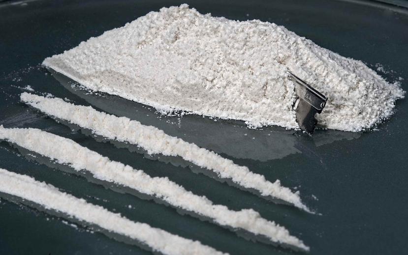 Los 20 bloques de cocaína estaba divididos en grupos de 5 en 4 maletas distintas. (GFR Media)