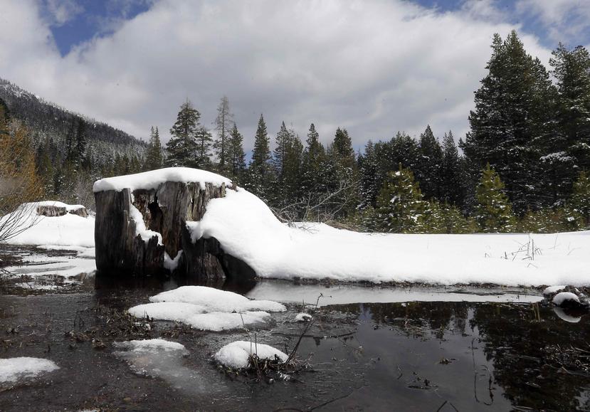 El nivel de nieve acumulada en Sierra Nevada, California, este invierno, es el menor en 20 años. (AP / Rich Pedroncelli)