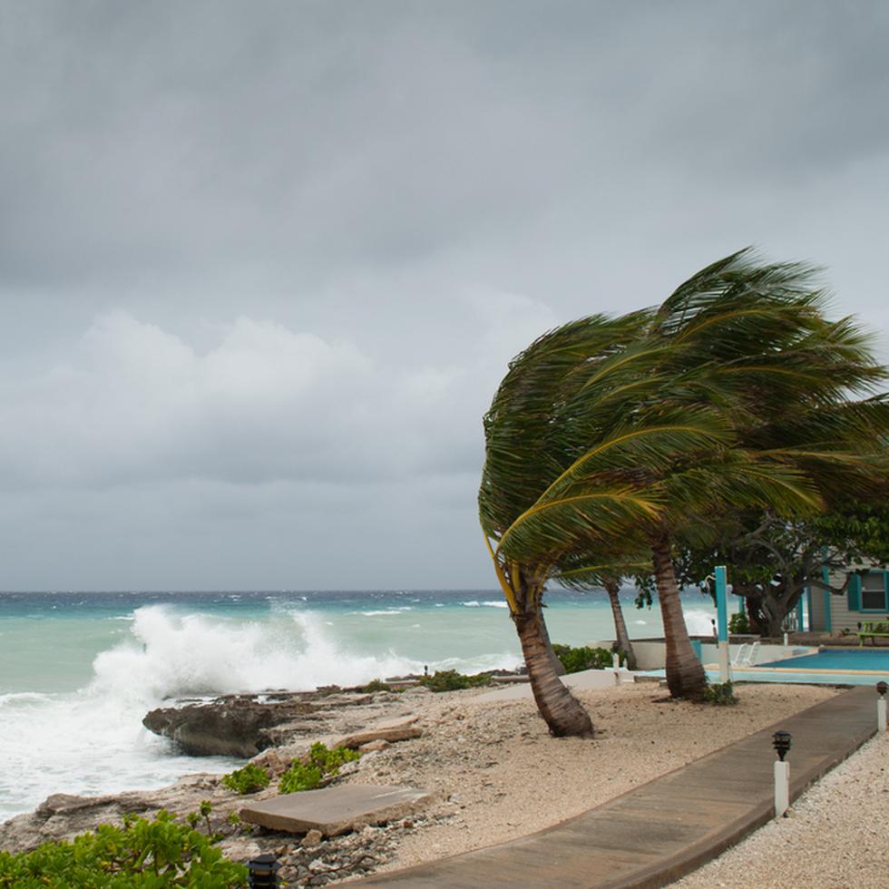 Un estudio estadístico concluyó que la probabilidad de eventos extremos de lluvia de ciclones tropicales como lo ocurrido durante el huracán María ha aumentado en partes de Puerto Rico desde 1956 debido al cambio climático a largo plazo.