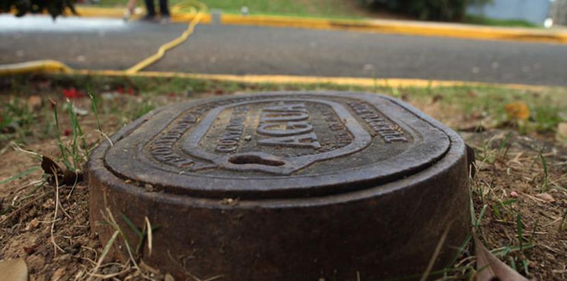 Los pillos de agua fueron encontrados en el parque Ecoturístico Adolfo Dones, localizado frente al centro comercial The Mall of San Juan; el parque de caminar  y de soccer y el velódromo de la urbanización Country Club, en Río Piedras.  (Archivo)