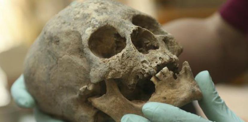 En la tumba, los arqueólogos hallaron restos humanos y más de 150 objetos decorativos de bronce. (AP)