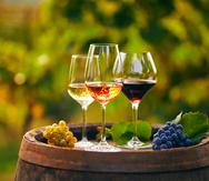 "La vida de un vino en el tiempo está íntimamente ligada a algunas de sus características y, a su vez, determinada por la presencia de sustancias como ácidos, taninos, alcohol, minerales y azúcares", Sandro Giulimondi.