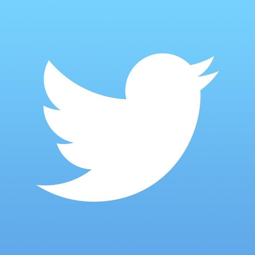 “Creo que Twitter puede ser mucho más de lo que es hoy”, dijo Sacca, quien invierte a través de su empresa, Lowercase Capital LLC. (Archivo)