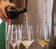 La variedad Verdejo es la uva insignia de la Denominación de Origen Rueda. Con esta se elaboran los vinos blancos de mayor venta en España.